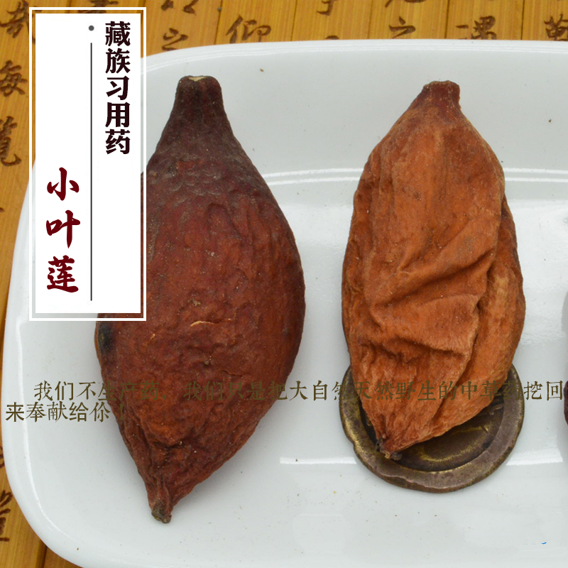 中药材西藏小叶莲500克统