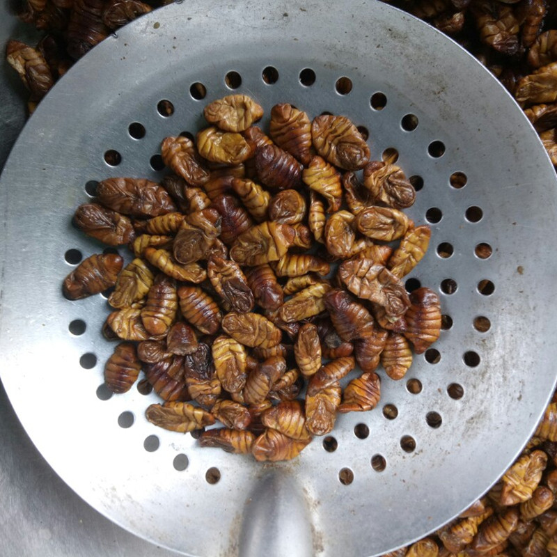 中药材  生蚕蜕  僵蚕蛹  500g克