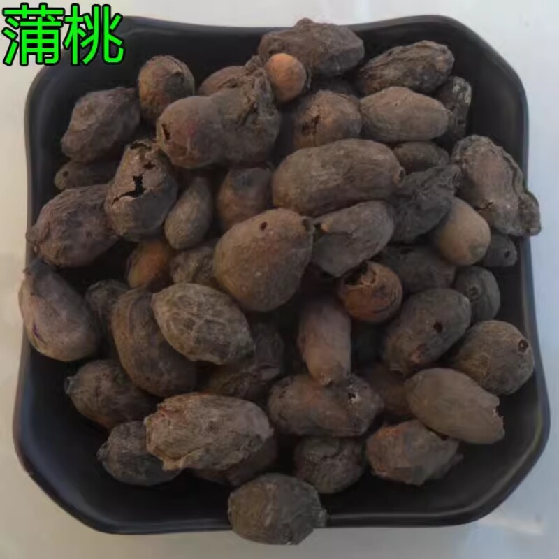 中药材  蒲桃  乌楣  羊屎果  十年果  麻栗  乌墨 500g克  统