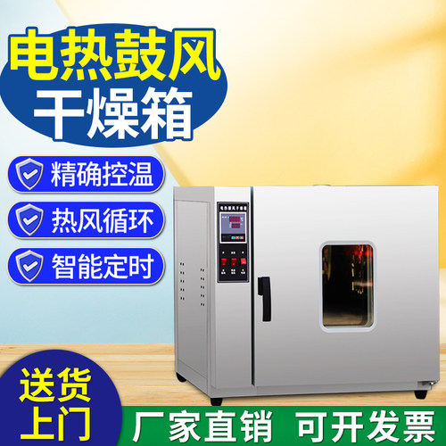 电热鼓风干燥箱可观察器皿双门恒温烘干箱实验室工业高温烘烤箱