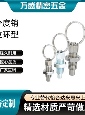 ZAC40/ZAC41/ZAC42/ZAC43/44/45-M6 M8 M10 M12 分度销 拉环型