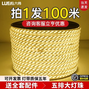 100米装 户外防水工程外墙亮化工地隧道吊塔养殖霓虹LED220V灯带