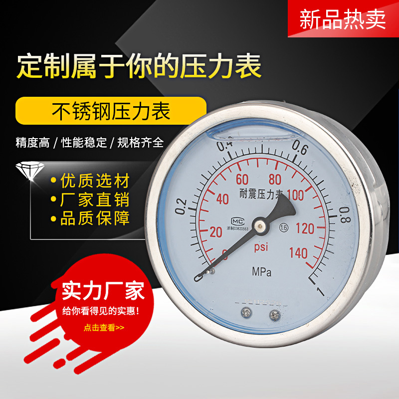 不锈钢压力表YN100ZBF  背接式螺纹M20*1.5 轴向无边耐震压力表