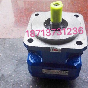 R6.3 外圆磨油泵 GPA2 M1432AB内啮合齿轮泵GPA2