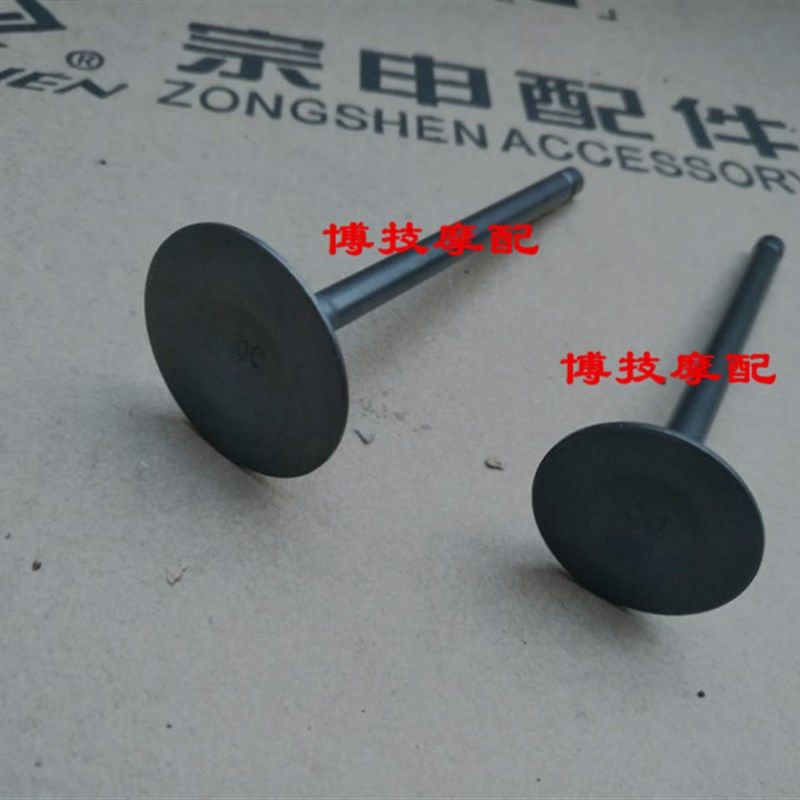 博技宗申沙漠飞狐ZS250GS/LZX200GY-2/ZS200GY进排气门/气门油封