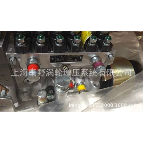 D柴喷油泵 1111010-C01Q B6PN122A BHT6PN110L同6PW885 BH6PW110