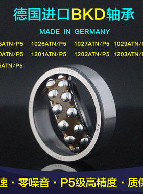 德国BKD进口轴承1200/1201/1202/1203/1204/1205/1206/1207/1208K