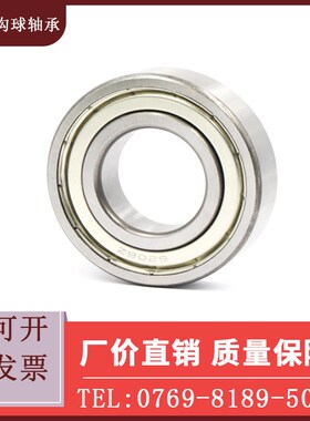 BAY不锈钢轴承6006 6007 6008 6009 6010  ZZ-E-SUS怡合达