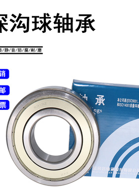瓦房店ZWZ深沟球轴承6307 6308 6309 6310 6311 6312 6313 RS ZZ