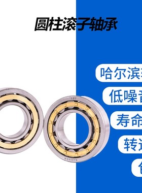 圆柱滚子轴承NUP304 305 306 307 308 309 310 311 312 313 314EM