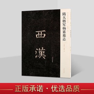 新出隋唐碑志精编 隋大将军杨素墓志 楷书碑刻书法 书法字帖碑帖书籍 书法赏析 河南美术出版社