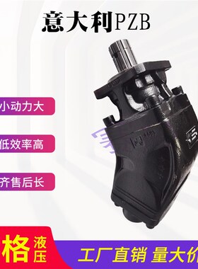 PZB意大利柱塞泵随车吊环卫钩臂车Y60/64R/84R/108R 317006422W0