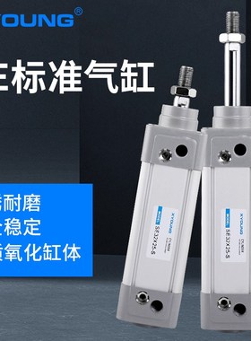 SE63X125-S气动SE63X100-S标准气缸SE63X50-S带磁标准气缸SE63X75
