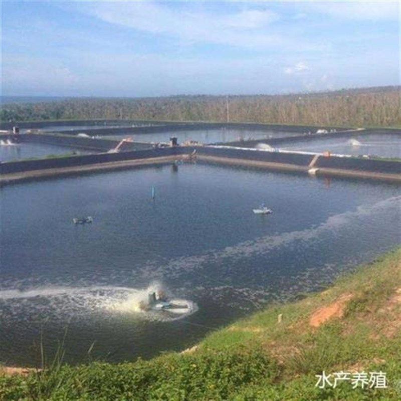 。黑色鱼塘加厚防渗膜土工膜池塘放水膜养殖鱼塘膜放水布防漏塑料