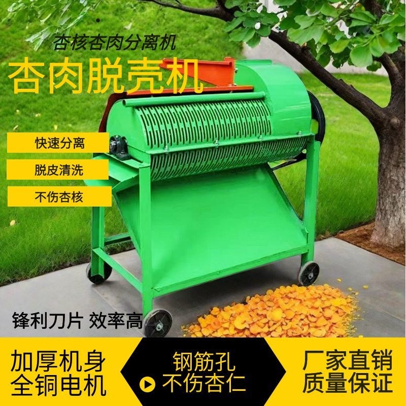 新款小型家用杏核去皮机山桃榆叶梅剥皮分离机自动脱Y皮果肉分离