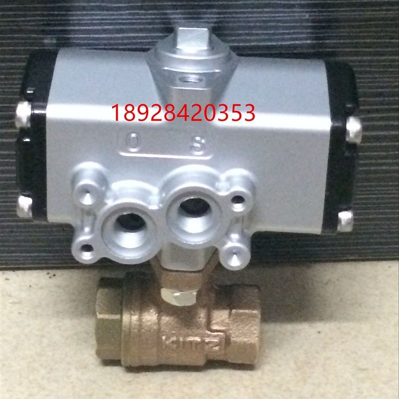 DN20 6分日本气动球阀 进口气动两片式球阀 C-TE快速切断气动球阀,鲜花速递/花卉仿真/绿植园艺,洒水/浇水壶,淘宝优惠券,粉丝福利购,淘宝优惠卷