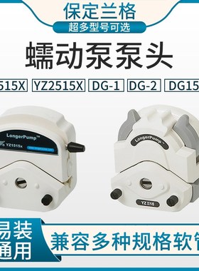 兰格蠕动泵泵头YZ1515X YZ2515X DG-1 DG-2 DG15-24单双四六通道