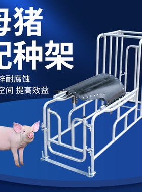 母猪配种架热镀锌升降矮脚配种器夹配猪架子公猪采精支架养殖设备