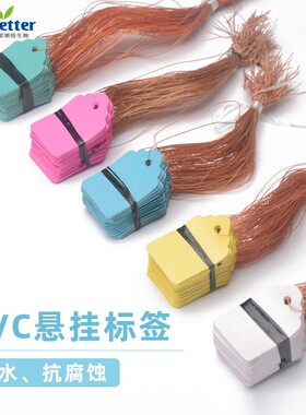 园艺PVC悬挂标签 花卉标签 植物树木吊牌 塑料防水挂牌 尼龙绳子