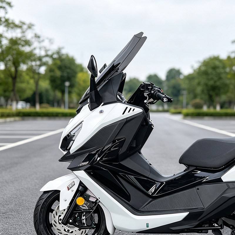 骑仕牛适用三阳巡弋Cruisym250加高前挡风玻璃改装透明风挡配件