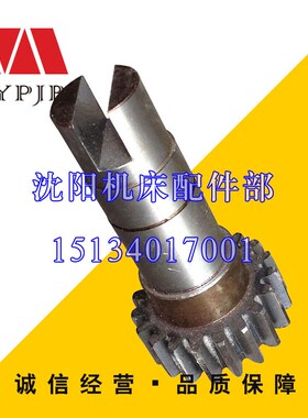 沈阳中捷镗床配件TPX6113 齿轮轴10355 Z19 L22 M3 T6113齿轴齿轮