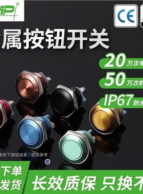 西普彩色金属开关16mm/19mm氧化咖啡色黑色MP19自复位考试车按钮