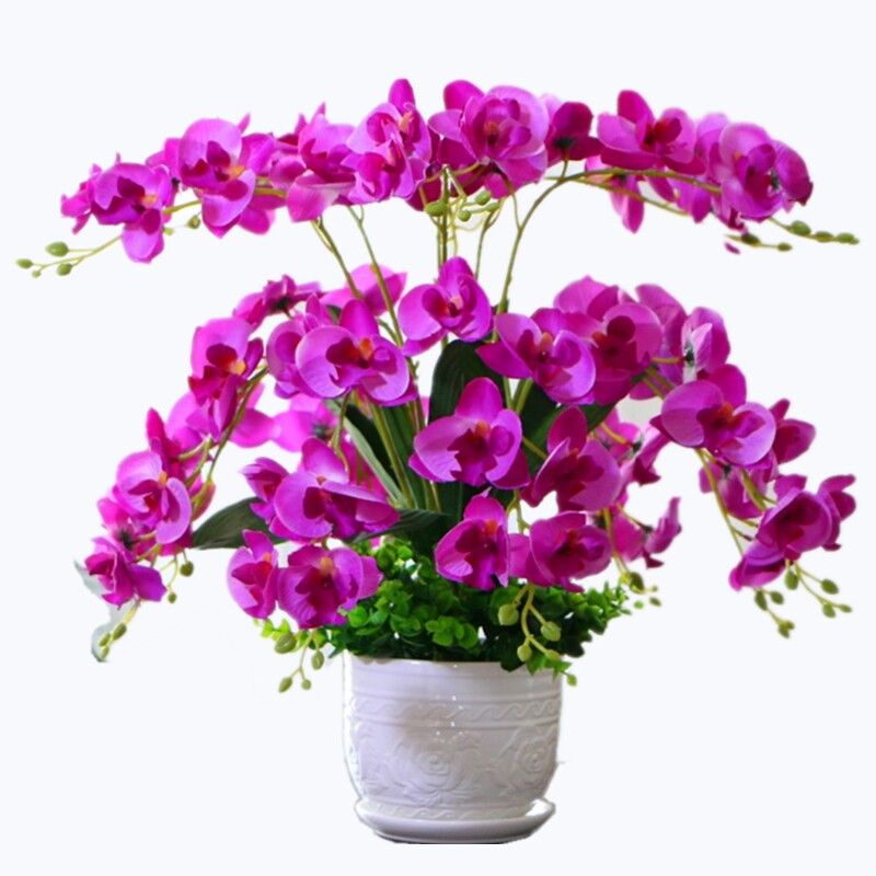 假花仿真花蝴蝶兰盆栽摆件塑料z花客厅餐桌装饰花插花绢花干花摆