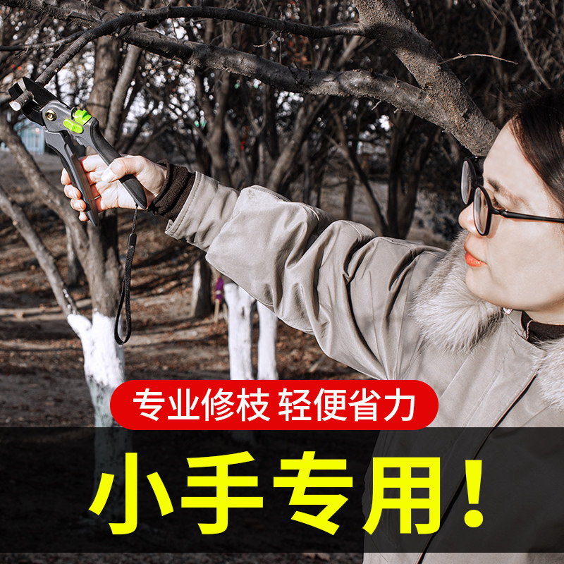 修枝剪果树剪刀剪枝园艺修剪树枝专用枝 花 剪园林工具大全花卉