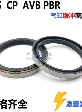 PCS气缸铁壳CP缓冲密封圈PBR 22/30 24/32 28/36 30/40 32/42*5mm