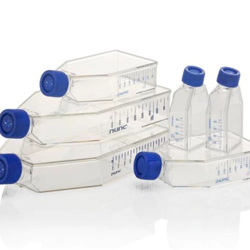 NUNC能肯159910 175cm2易用培养瓶 聚苯乙烯PS过滤透气盖 无菌