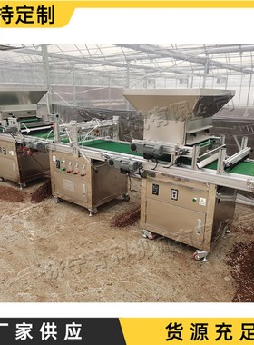 农业用质穴盘育苗机 铺土压穴播种一体机 全自动穴盘育苗播种机