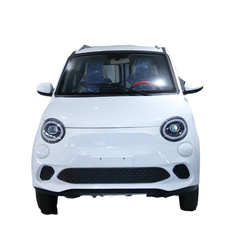 电动四轮家用新能源油电两用女士小型低速空调全封闭成人代步汽车