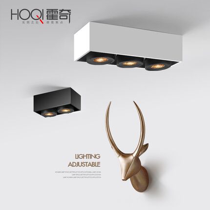 换光源led明装筒灯双头斗胆灯天花射灯长方形盒仔灯无主灯免开孔