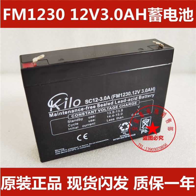 FM1230 123AH/20HR蓄电池耀华XK3190-A7电子秤称重显示器电瓶