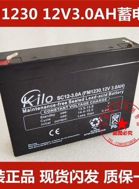 FM1230 123AH/20HR蓄电池耀华XK3190-A7电子秤称重显示器电瓶