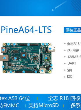 PineA64 PineA64-LTS Pine64 开发板全志R18 A64安卓LinuxAndroid
