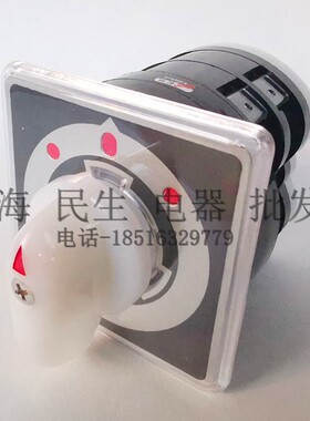 温州长江长信 LW95-D0414/2 船用主令转换开关 银触点 左舵右舵