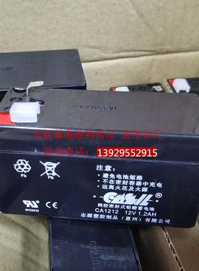 CASIL阀控密封式铅酸蓄电池CA1212 12V1.2AH卷帘门控制箱12V电瓶