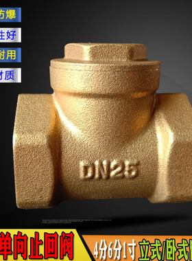 黄铜止回水阀单向防倒流压力罐表4分内丝dn15/20卧式6分1寸止逆阀