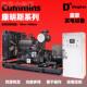 柴油发电机组康明斯0系列1005 300 6000kw发电 230kw康明00