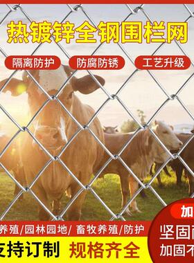 热浸镀锌加粗钢丝网养鸡鸭鹅狗防锈铁丝网圈牛果园养殖羊圈围栏网