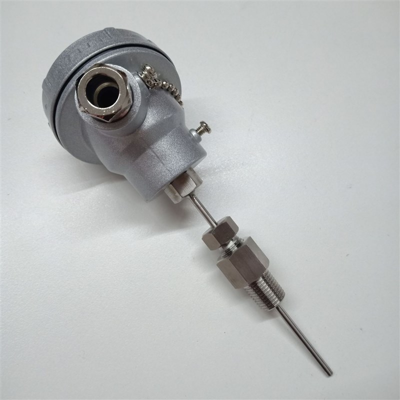 EYC拧入式热电阻R2系列 PT100信号 FPT1/4活动螺纹 管长可选订购