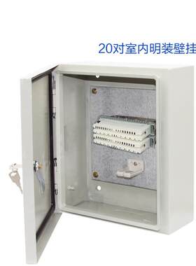 telephone distribution box 50/100对室内电话配线大对数分线箱