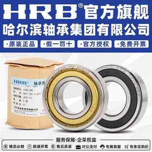 HRB 哈尔滨轴承 61905 61906 61907 61908 61909 - ZZ 2RZ