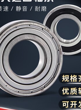 进口EVT耐高温轴承 6200 6201 6202 6203 6204 6205 6206 6207-2Z