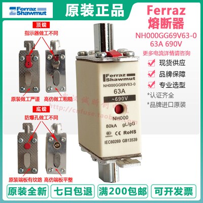 法国ferraz shawmut熔断器NH000GG69V63 690V 63A陶瓷保险管