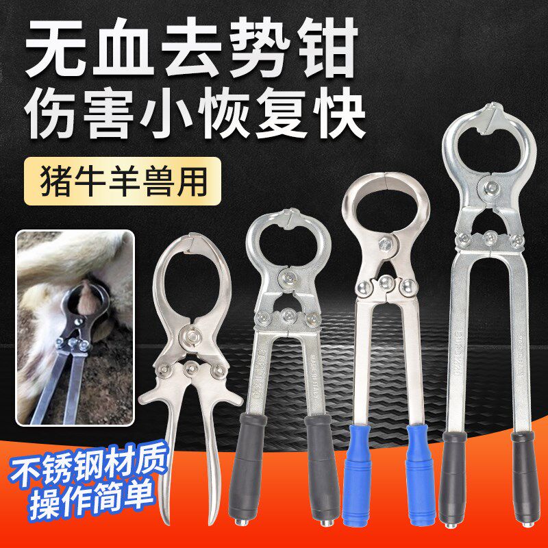 猪牛羊用去势钳不锈钢无血煽羊阉割夹蛋钳子兽用去势器结扎工具