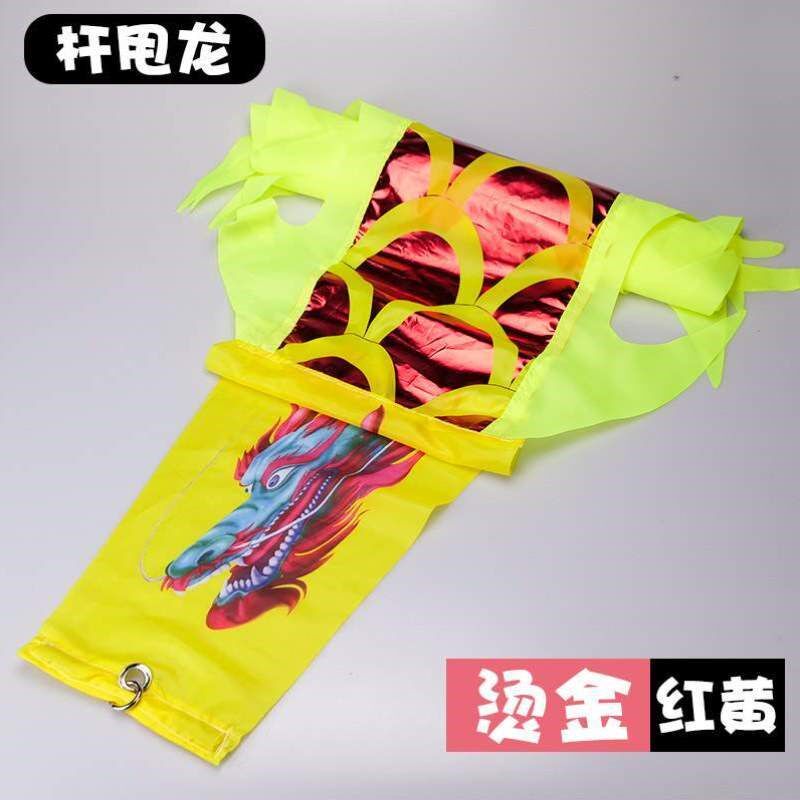 学生健身飘带龙甩龙杆儿童空竹校园舞舞龙彩带龙舞甩