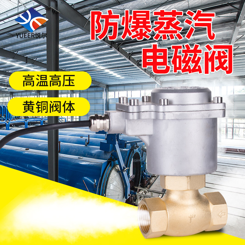 高温蒸汽电磁阀2L铜电磁控制阀US电子高压阀水用管道开关220v 24v