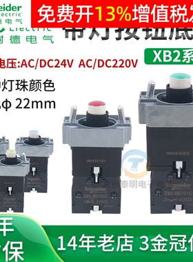 施耐德ZB2BWB31C带灯41按钮42基座51 61开关ZB2BWM42C 24vdc 220V